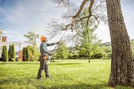 Best Lawn Disease Treatment  in Bossier City, LA